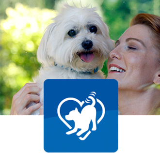 White dog carried by its owner