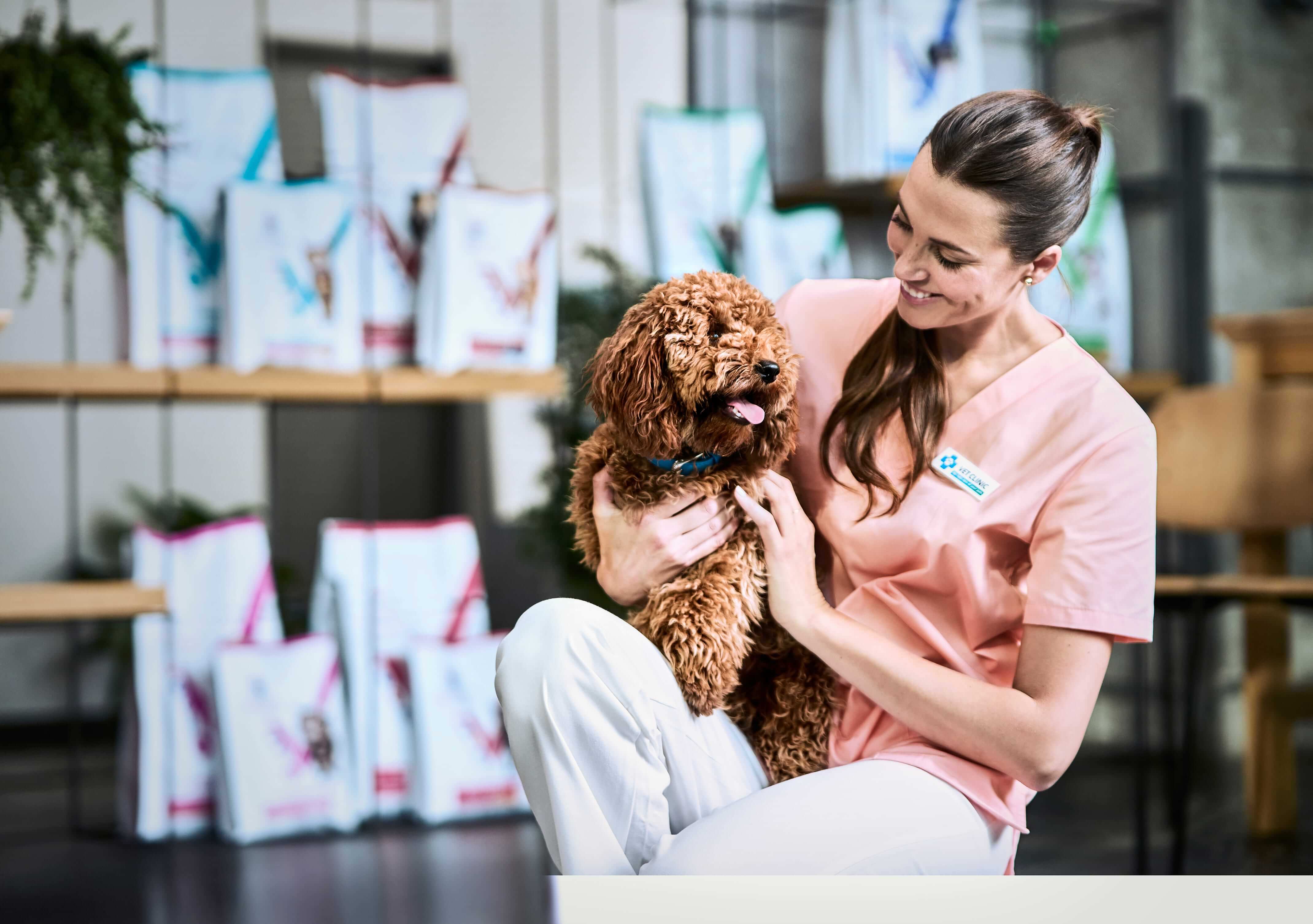 Cat reaching for food bowl