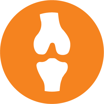 Bone & Joint Support Icon