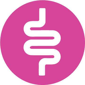 Healthy Digestion Icon