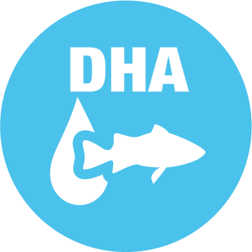 Brain & Eye Development Icon