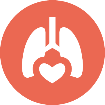 Vital Organ Support Icon