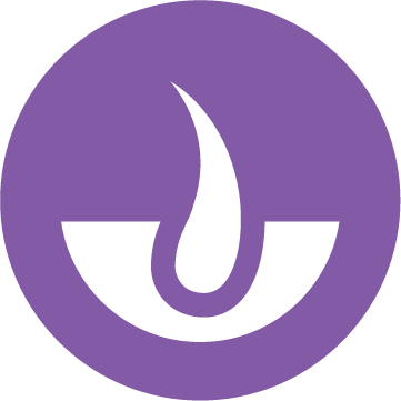 Brain & Eye Development Icon